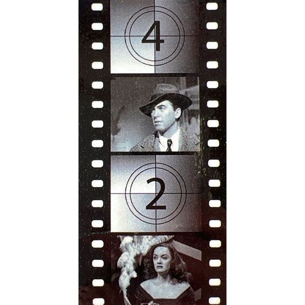 Hire HOLLYWOOD BETTE FILM 2 Backdrop Hire 1.2mW x 2.4mH